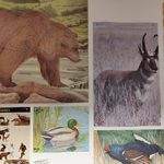 Zielscheibenvorlage Tiere